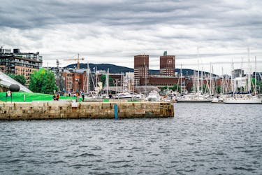 Oslo privéwandeling van kust naar stad